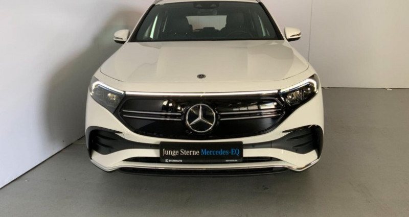 Mercedes EQA   Mercedes EQA   occasion à LEIMBACH