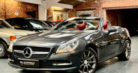 Mercedes SLK occasion 2011 mise en vente &agrave; Halluin par le garage FH AUTOMOBILE - photo n&deg;1