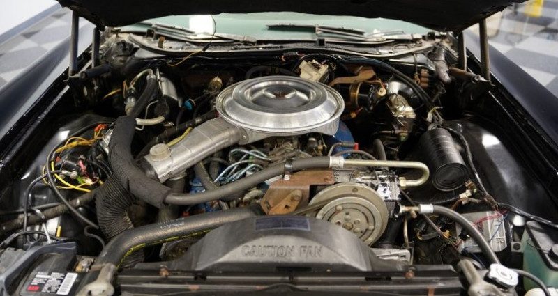 Mercury Cougar  1979 - photo n°4 Mercury Cougar   occasion à LYON - photo n°4