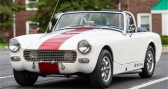 Annonce Mg Midget occasion Essence   LYON