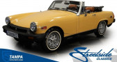 Annonce Mg Midget occasion Essence   LYON