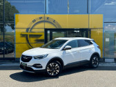 Annonce Opel Grandland X occasion Essence 1.2 T 130 Elite BVA GPS Camra Carplay Regul Adaptatif Hayon  Monswiller