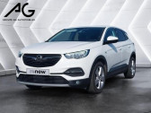 Annonce Opel Grandland X occasion Essence 1.2 Turbo 130 ch BVA6 Ultimate  WADELINCOURT