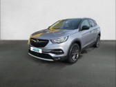 Annonce Opel Grandland X occasion Diesel 1.5 Diesel 130 ch BVA8 - Design & Tech  ORVAULT