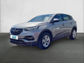 Annonce Opel Grandland X occasion Diesel 1.5 Diesel 130 ch - Edition  ANGERS