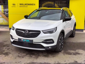 Opel Grandland X occasion 2021 mise en vente à Saint-Malo par le garage Opel Saint-Malo - photo n°1