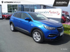 Opel Grandland X occasion Bleu année 2019 boite Automatique Annonce Opel Grandland X occasion Diesel 2.0 D 177ch Ultimate BVA8 à Mareuil-lès-Meaux