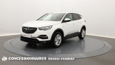Annonce Opel Grandland X occasion Diesel BUSINESS 1.5 Diesel 130 ch Edition  NARBONNE
