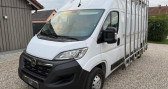 Opel Movano 22 000 HT L3h2 165ch quip galerie   porte verre  2022 - annonce de voiture en vente sur Auto Sélection.com