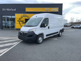 Opel Movano occasion année 2023 boite Manuelle Annonce Opel Movano occasion Diesel MOVANO FGN 3.3T L2H2 120 BLUE HDI S&S 4p à Lescure-d'Albigeois