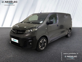 Opel Vivaro , garage Peugeot G.N?d?lec Quimper  Quimper