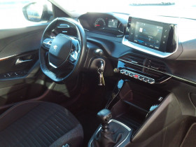 Peugeot 2008 1.5 BLUEHDI 100CH S&S ACTIVE  occasion  Toulouse - photo n9