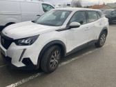 Annonce Peugeot 2008 occasion Diesel BlueHDi 110 S&S BVM6 Active Business  ORVAULT