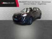 Peugeot 2008 BlueHDi 110 S&S BVM6 Active Pack   Aire sur Adour 40