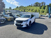 Peugeot 2008 BlueHDi 130 S&S EAT8 Allure Pack   BRIVE LA GAILLARDE 19