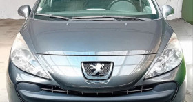 Peugeot 207 SW occasion 2007 mise en vente à Drulingen par le garage A.M AUTOMOBILE - photo n°1