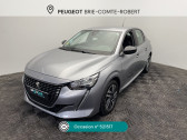 Annonce Peugeot 208 occasion Diesel 208 BLUEHDI 100 S&S BVM6 ACTIVE BUSINESS  Brie-Comte-Robert
