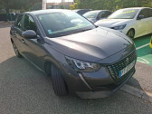 Annonce Peugeot 208 occasion Diesel BlueHDi 100 S&S BVM6 Active Business  REZE