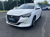 Peugeot 208 BUSINESS BlueHDi 100 S&S BVM6 Active   BRIVE LA GAILLARDE 19