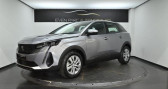 Annonce Peugeot 3008 occasion Diesel BUSINESS BlueHDi 130ch S&S BVM6 Active  Chambray Les Tours