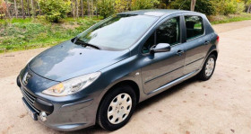 Peugeot 307 occasion 2006 mise en vente à Montfermeil par le garage AUTO ALLURE 75 - photo n°1