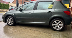 Peugeot 307 , garage DECARBUT  59450 SIN LE NOBLE