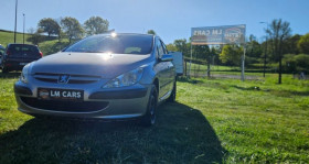 Peugeot 307 occasion 2004 mise en vente à THIERS par le garage LM CARS - photo n°1