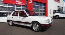 Peugeot 309 , garage GARAGE MICKAEL AUTOS - MOTRIO  BREHAL