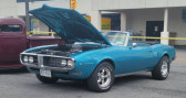Pontiac Firebird occasion année 1968 boite Automatique Annonce Pontiac Firebird occasion Essence à LYON