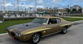 Pontiac GTO occasion année 1970 Annonce Pontiac GTO occasion Essence à LYON