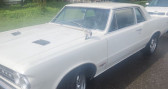 Annonce Pontiac GTO occasion Essence   LYON
