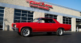 Annonce Pontiac GTO occasion Essence   LYON