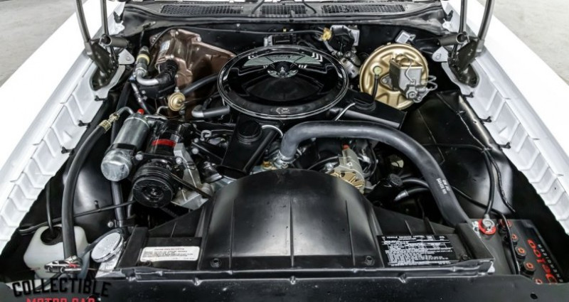 Pontiac GTO  1970 - photo n°5 Pontiac GTO   occasion à LYON - photo n°5