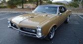 Annonce Pontiac GTO occasion Essence V8  Le Havre