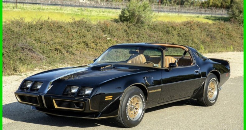 Pontiac Trans Am  1979 Pontiac Trans Am   occasion à LYON