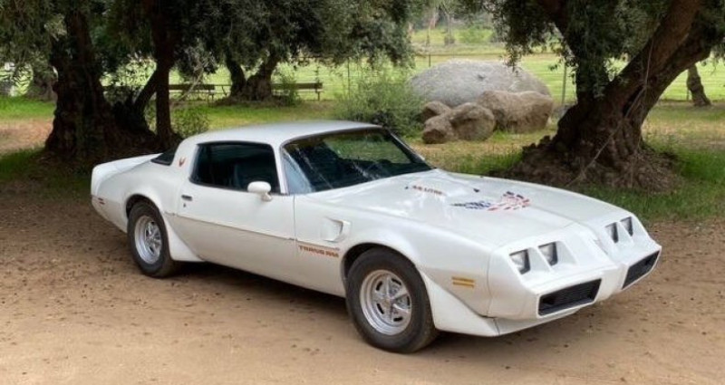 Pontiac Trans Am  1979 - photo n°3 Pontiac Trans Am   occasion à LYON - photo n°3