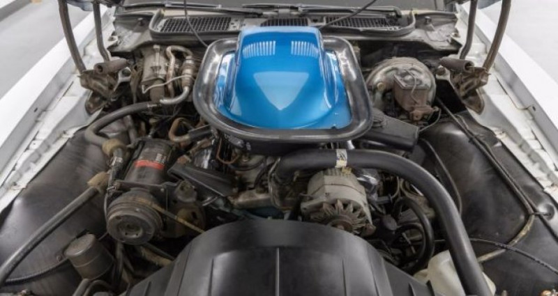 Pontiac Trans Am  1970 - photo n°4 Pontiac Trans Am   occasion à LYON - photo n°4