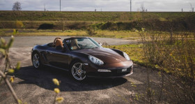 Porsche Boxster occasion 2010 mise en vente &agrave; AIGNE par le garage NACHE AUTOMOBILES - photo n&deg;1