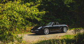 Porsche Boxster occasion 2007 mise en vente &agrave; AIGNE par le garage NACHE AUTOMOBILES - photo n&deg;1