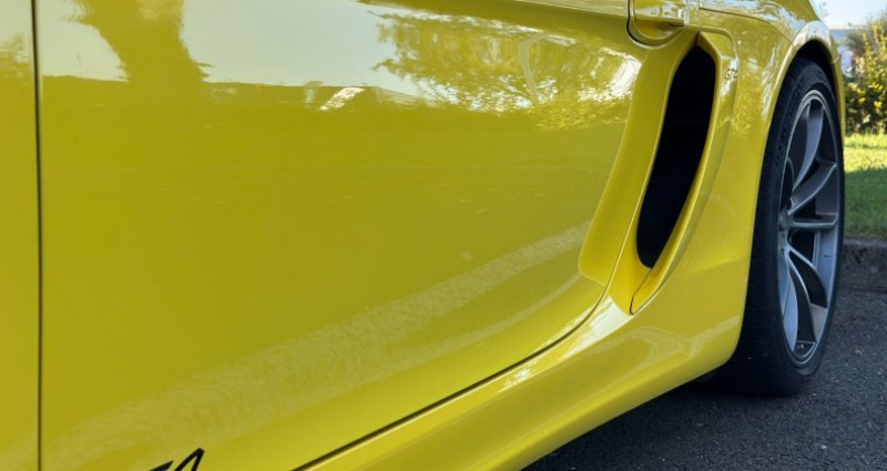 Porsche Cayman 2 TYPE 981 GT4  occasion  Fontenay-sur-eure - photo n6