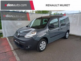 Annonce Renault Kangoo occasion Diesel Blue dCi 95 Business  Muret