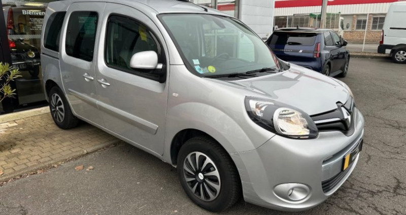 Renault Kangoo Blue dCi 95 Intens 2019 - photo n°3 Renault Kangoo Blue dCi 95 Intens  occasion à Saint Ouen L'Aumône - photo n°3