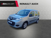 Annonce Renault Kangoo occasion Diesel Blue dCi 95 Trend  Auch