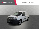 Annonce Renault Kangoo occasion Diesel EXPRESS BLUE DCI 95 SL PRO+  Muret