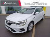 Annonce Renault Megane Estate occasion Diesel IV Estate Blue dCi 115 - 21N Business  Castelnau-d'Estrtefonds