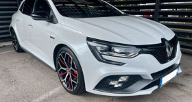 Renault Megane occasion 2019 mise en vente à LAVEYRON par le garage CK MOTORS - photo n°1