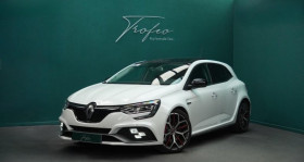 Renault Megane occasion 2019 mise en vente &agrave; le petit quevilly par le garage TROFEO - photo n&deg;1