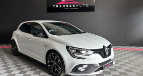 Renault Megane occasion 2019 mise en vente à ARLES par le garage TRANSAKAUTO ARLES - photo n°1