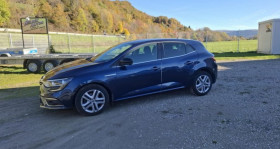 Renault Megane occasion 2019 mise en vente à Yolet par le garage BELBEX AUTOS - photo n°1