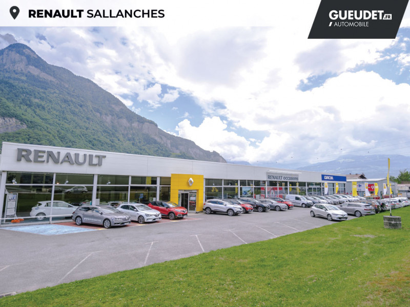 Renault Twingo 1.0 SCe 70ch Limited Boîte Courte Euro6  occasion à Sallanches - photo n°19